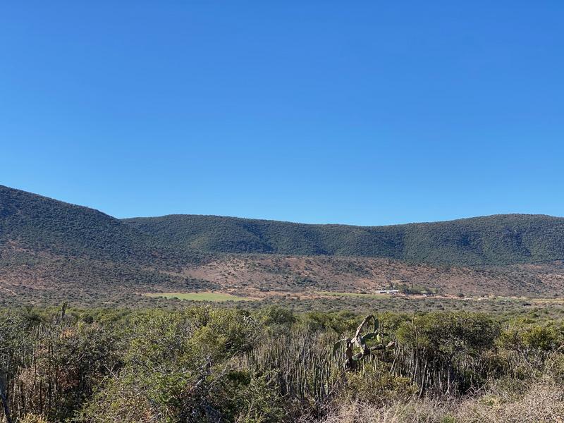 0 Bedroom Property for Sale in Kirkwood Eastern Cape